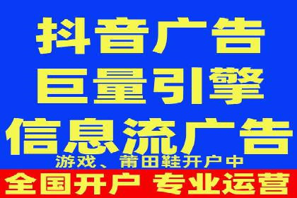 谷歌竞价广告与SEO结合的营销案例解析